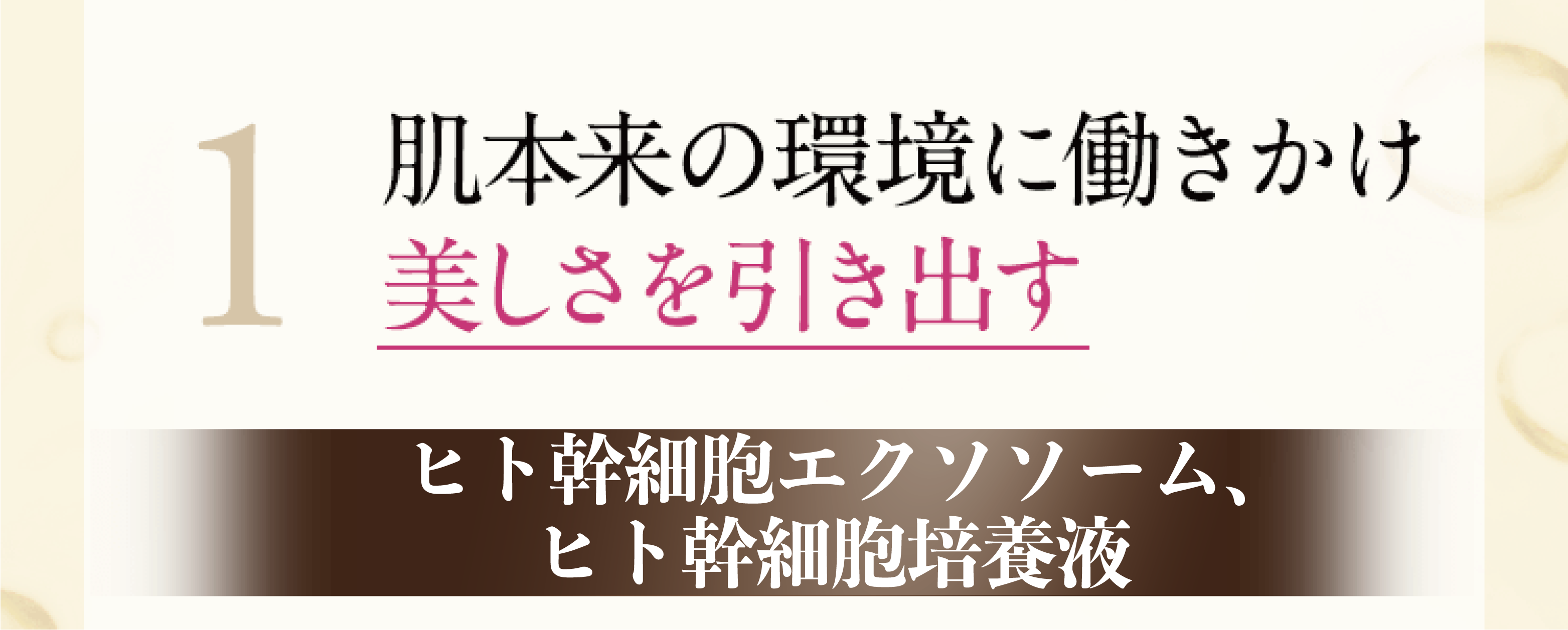 1.肌本来の環境に働きかけ美しさを引き出す